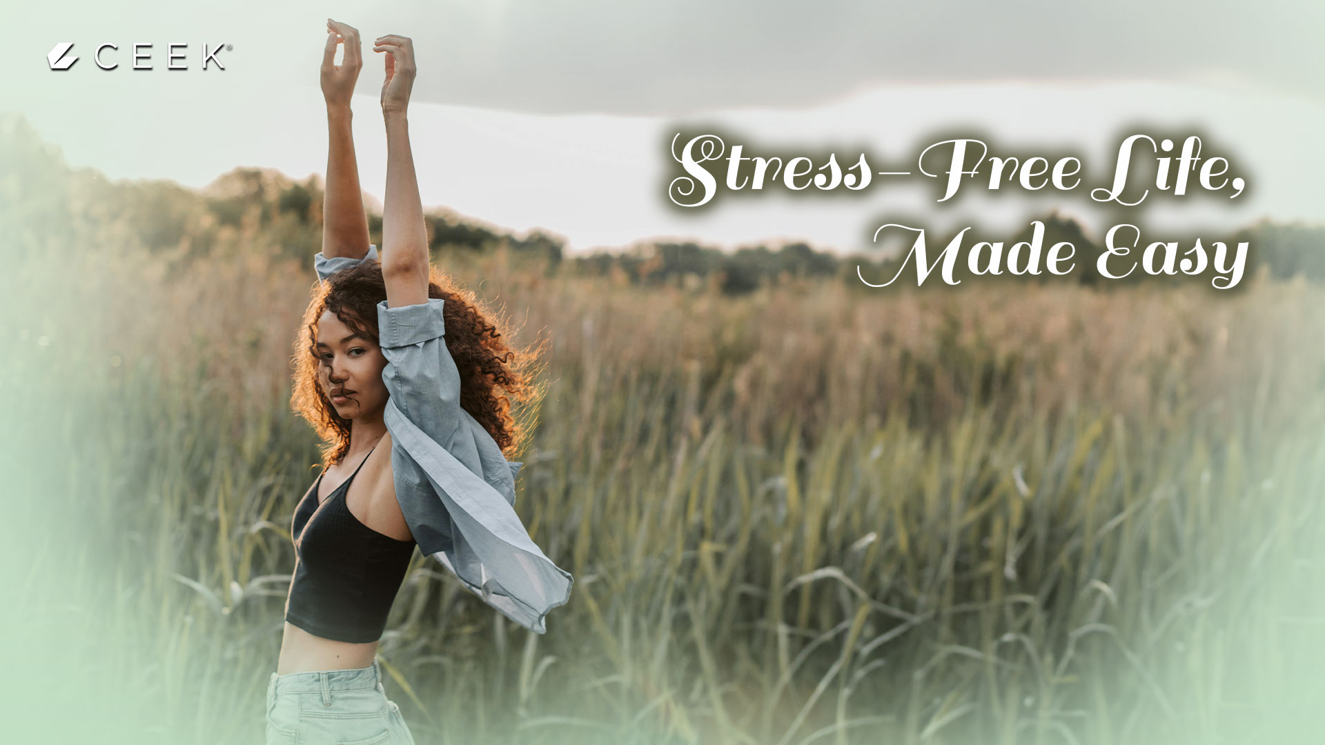 Stress-Free Life, Made Easy