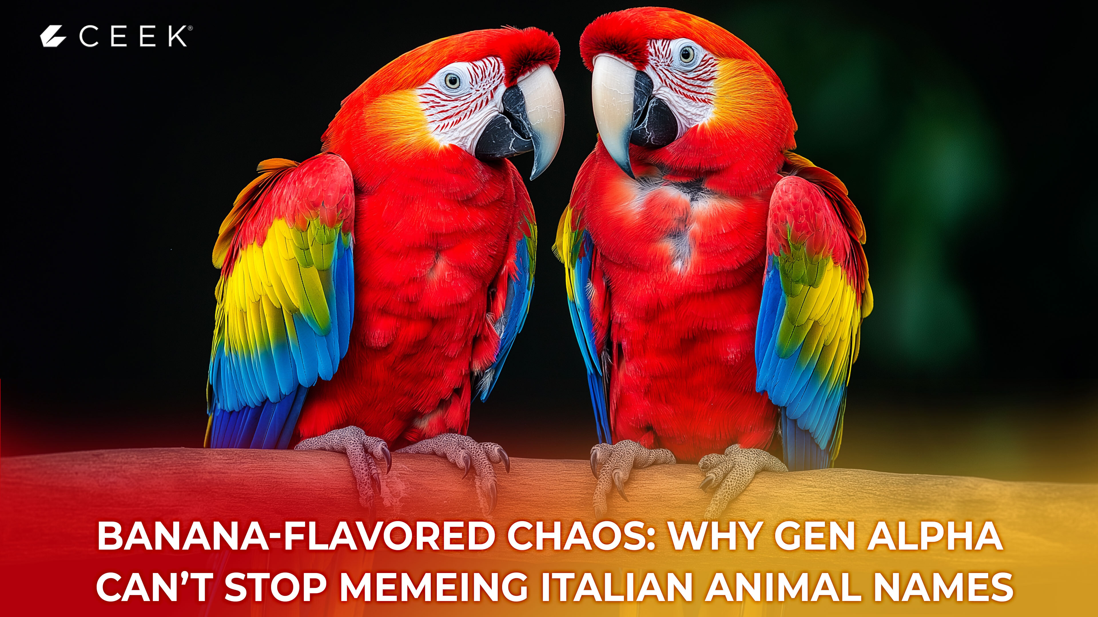 Banana-Flavored Chaos: Why Gen Alpha Can’t Stop Memeing Italian Animal Names”